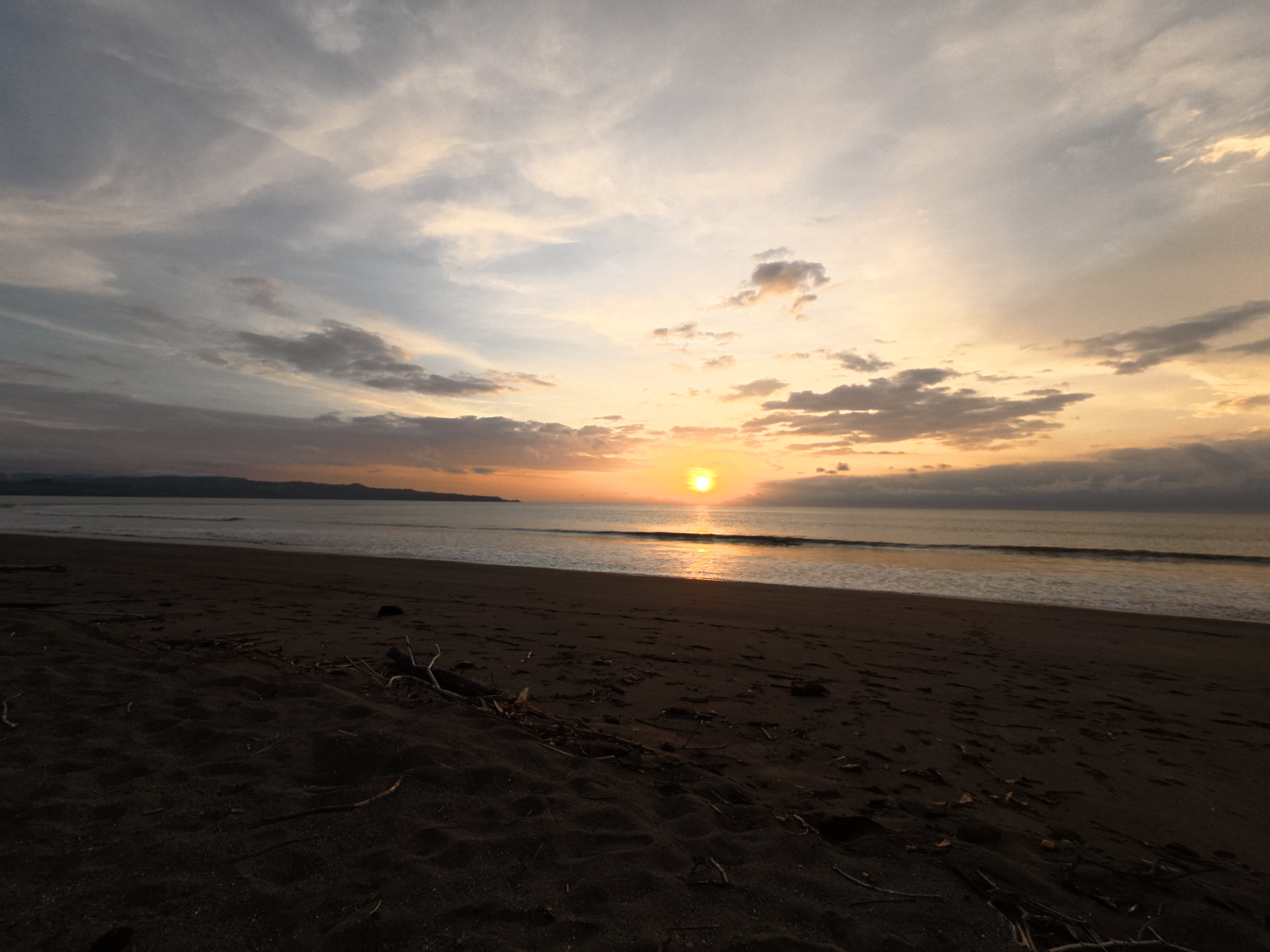 Tronco en la playa de Coquí