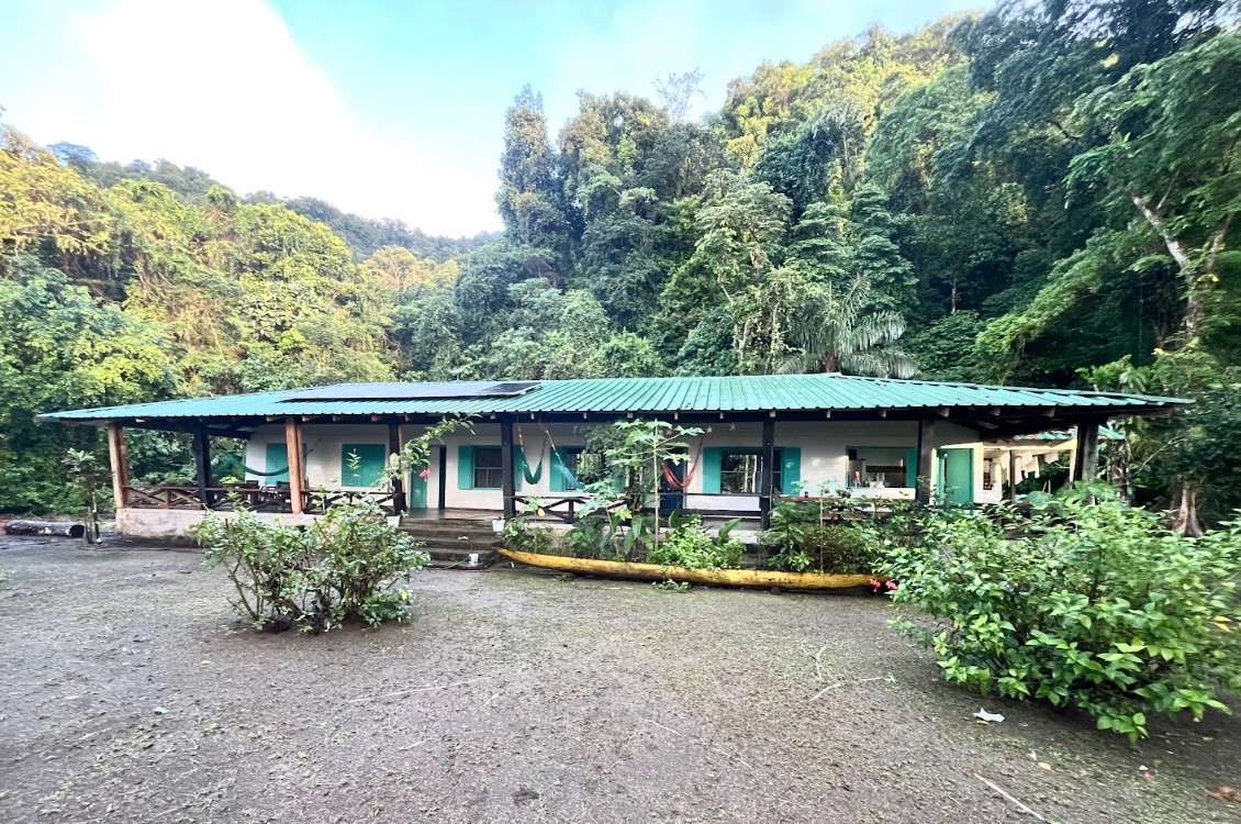 Casa Fractal en Coquí, rodeada de selva