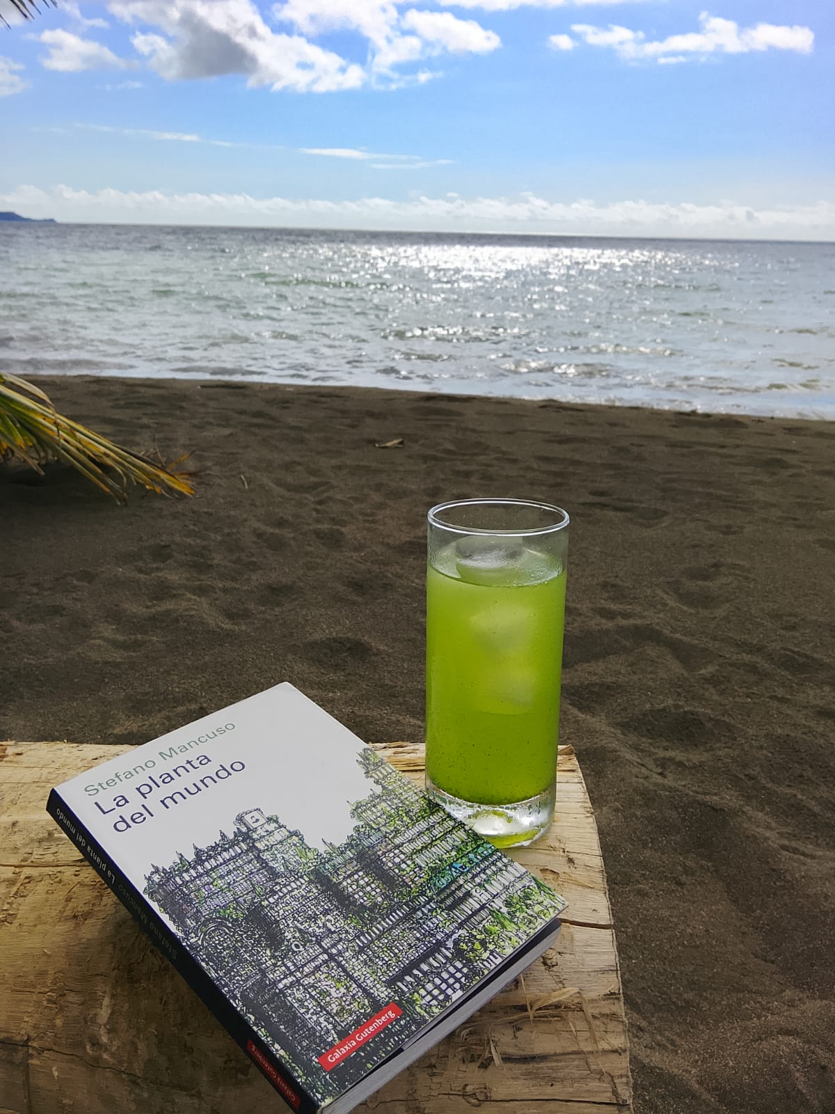 Lectura en Fractal